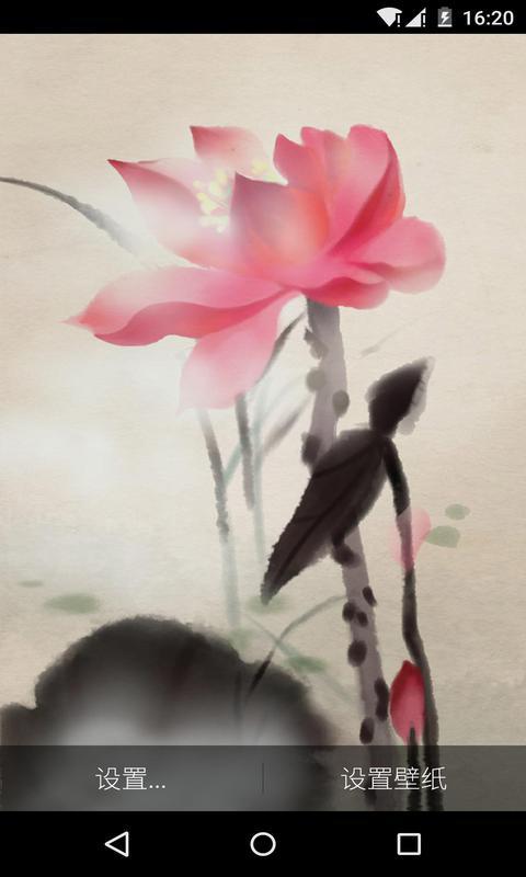 水荷花-梦象动态壁纸 v1.2.9