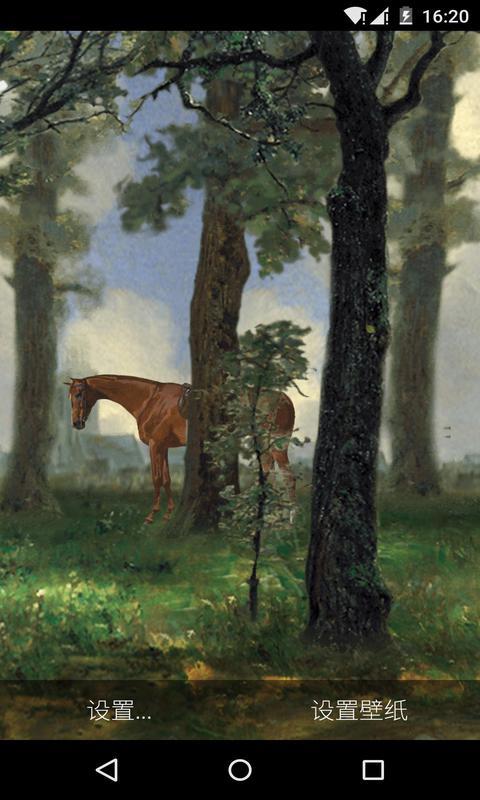 3D清晨的森林-梦象动态壁纸 v1.2.7