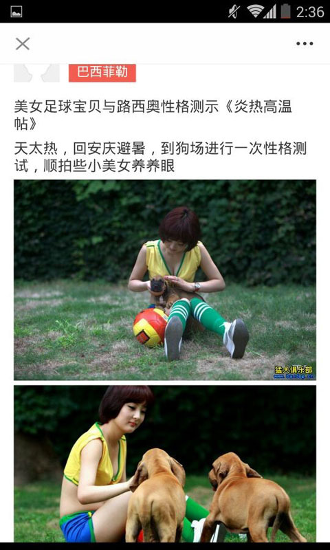 猛犬俱乐部 v1.0.0