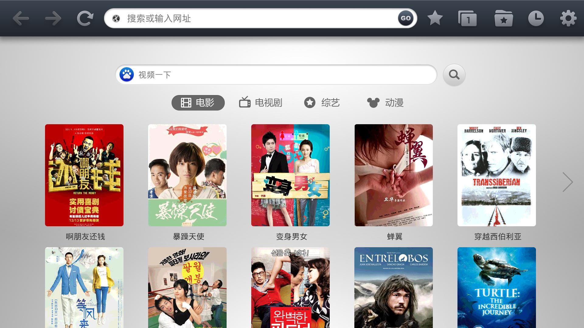 飞视电视浏览器 v2.8