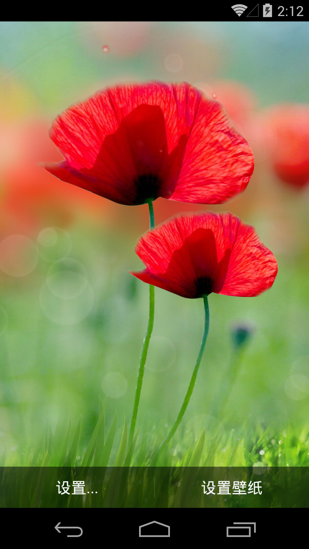 虞美人-梦象动态壁纸 v1.2.7