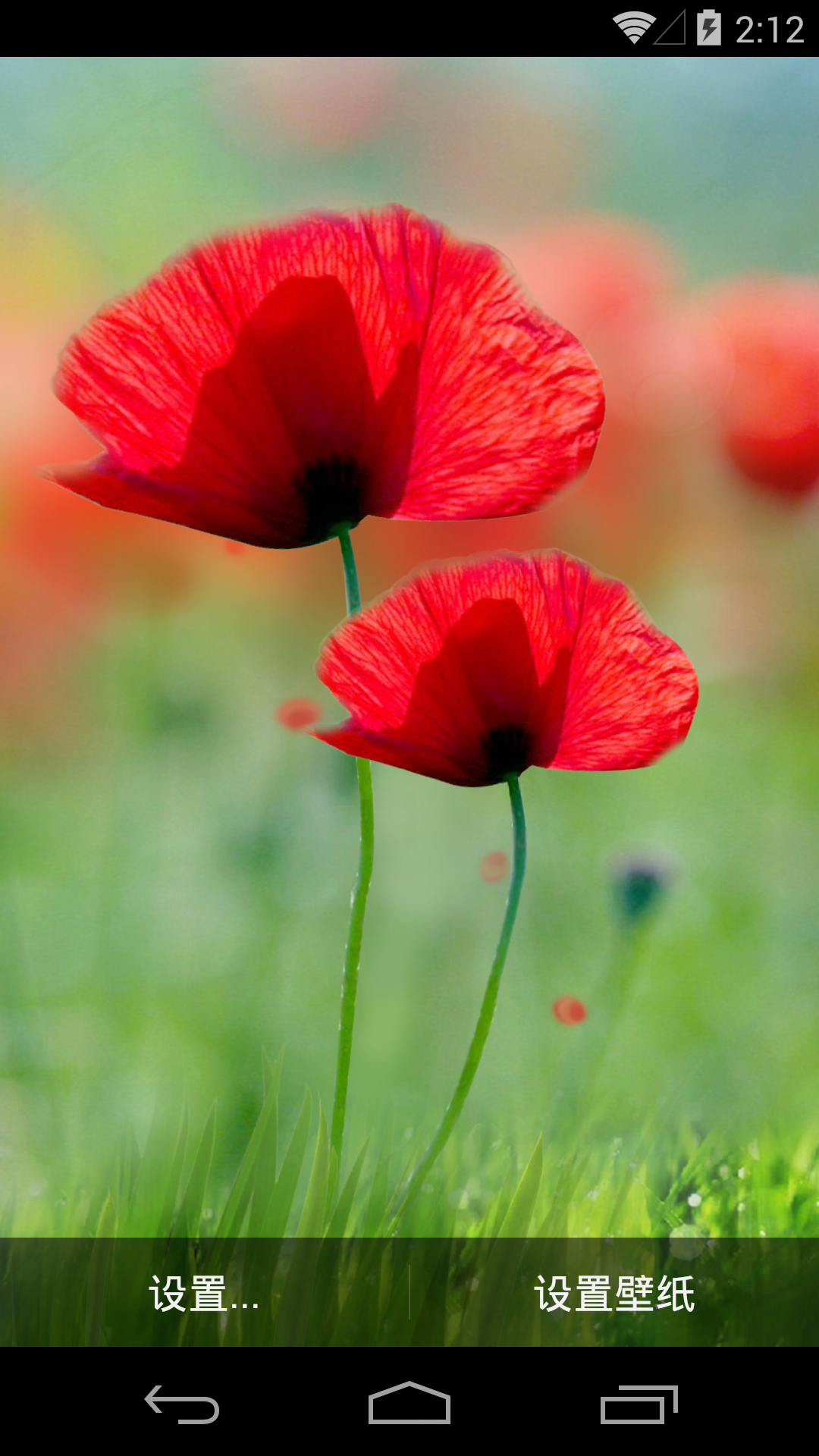 虞美人-梦象动态壁纸 v1.2.7