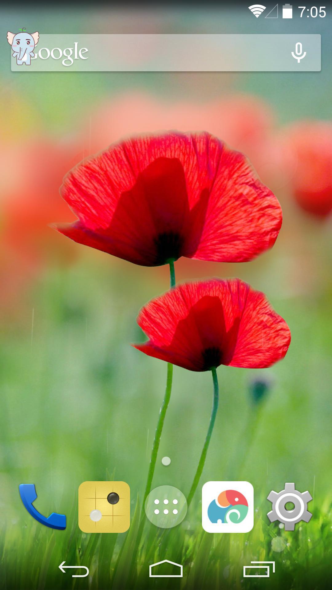 虞美人-梦象动态壁纸 v1.2.7