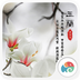 玉兰花-梦象动态壁纸