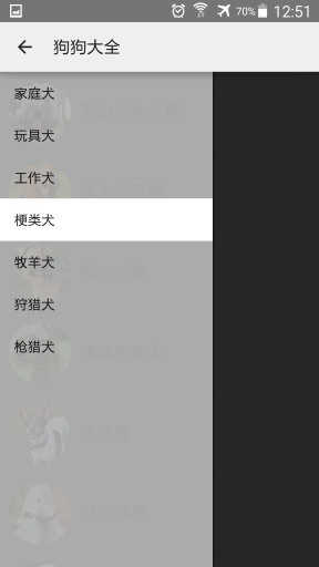 狗狗大全 v1.0