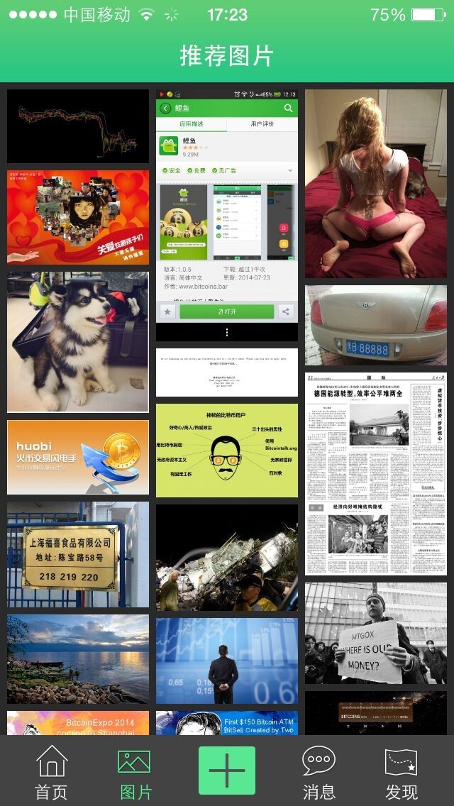 鲤鱼比特币 v1.0.9