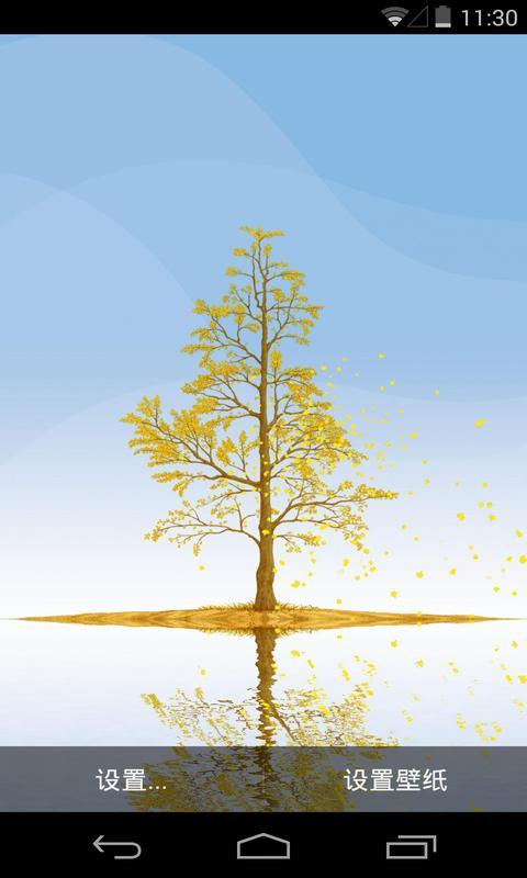 镜子现实-银杏-梦象动态壁纸 v1.3.10