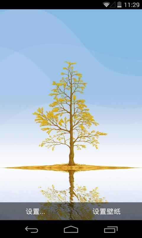 镜子现实-银杏-梦象动态壁纸 v1.3.10