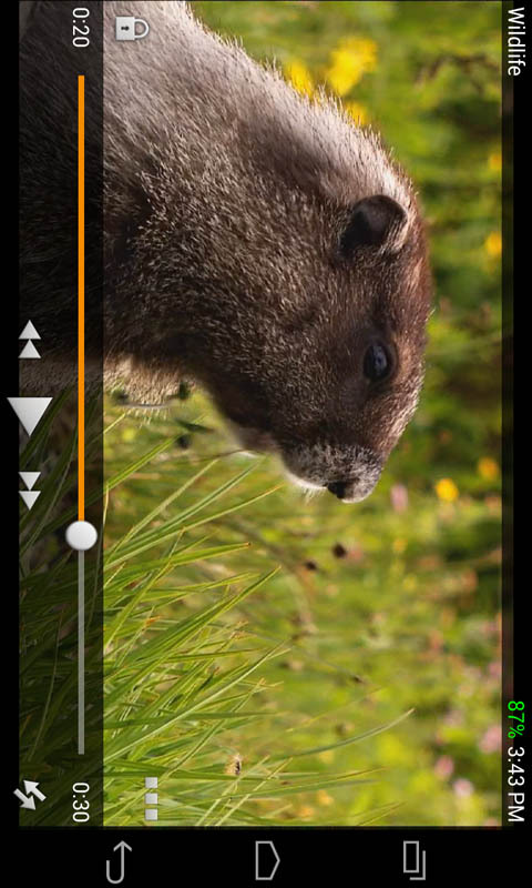万能格式视频播放器 v1.5