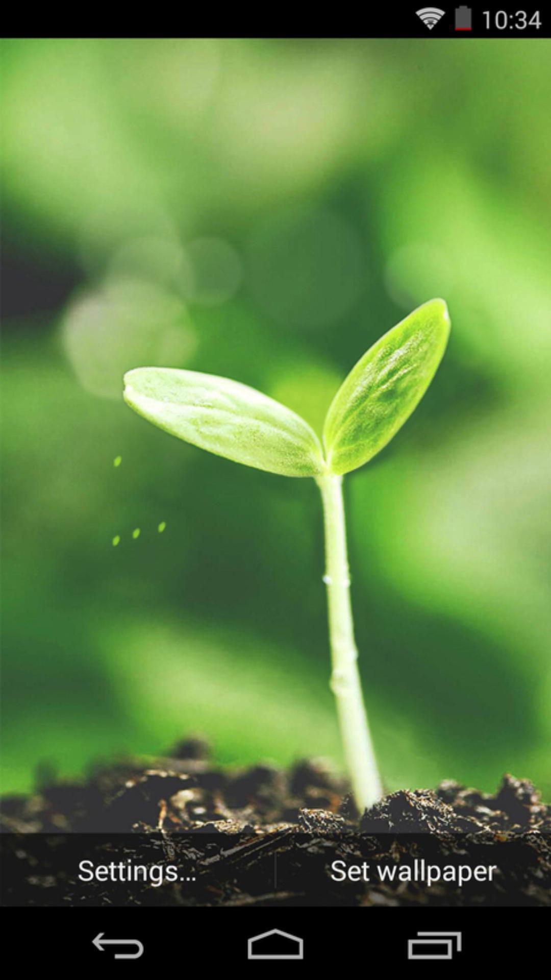 新生芽-梦象动态壁纸 v1.2.3