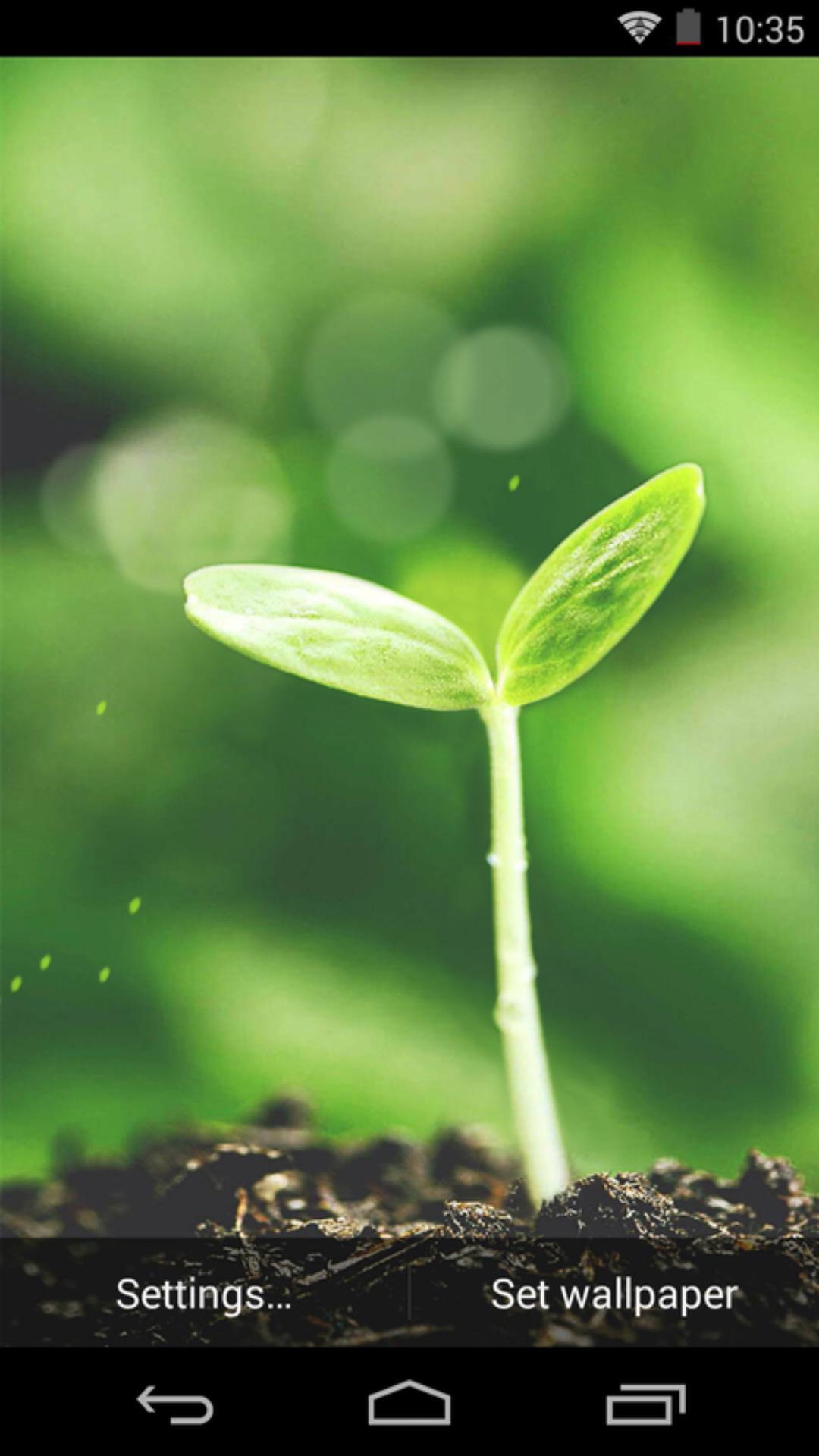 新生芽-梦象动态壁纸 v1.2.3