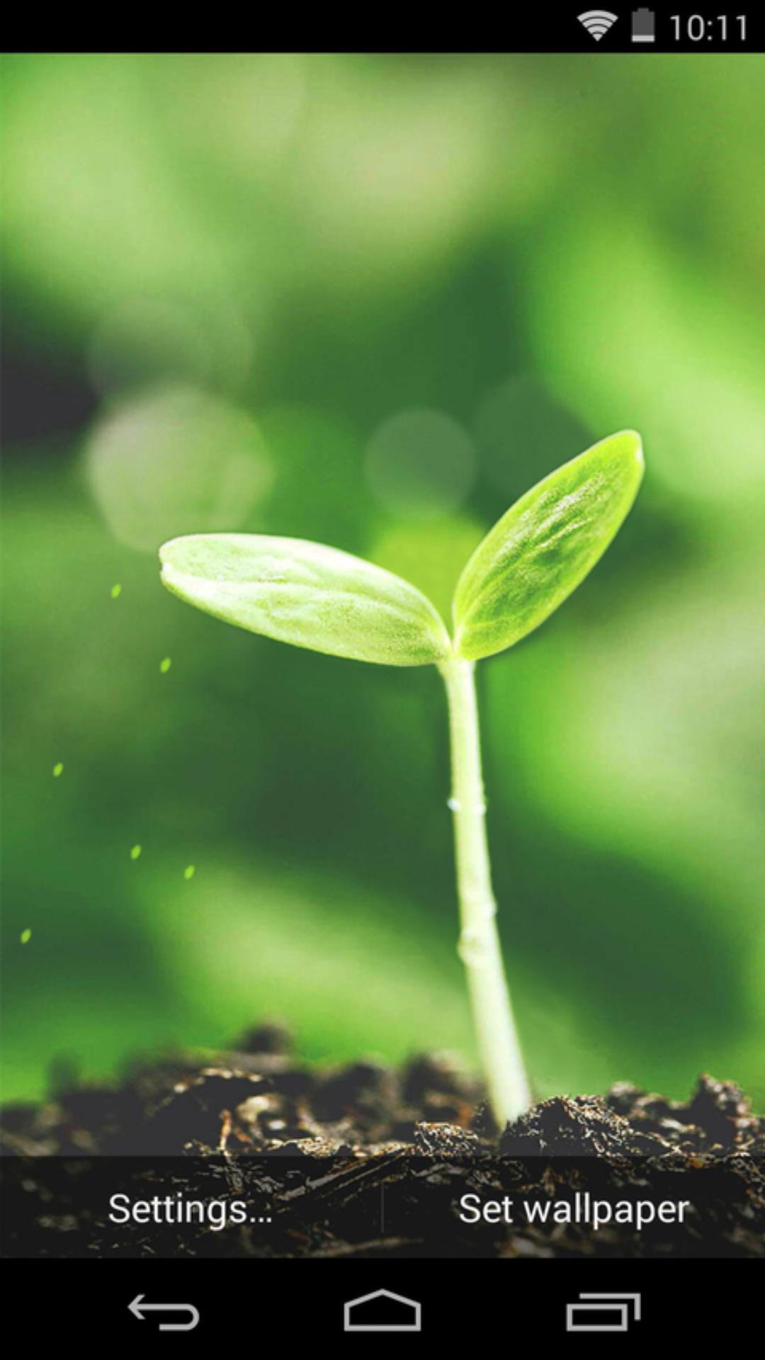 新生芽-梦象动态壁纸 v1.2.3