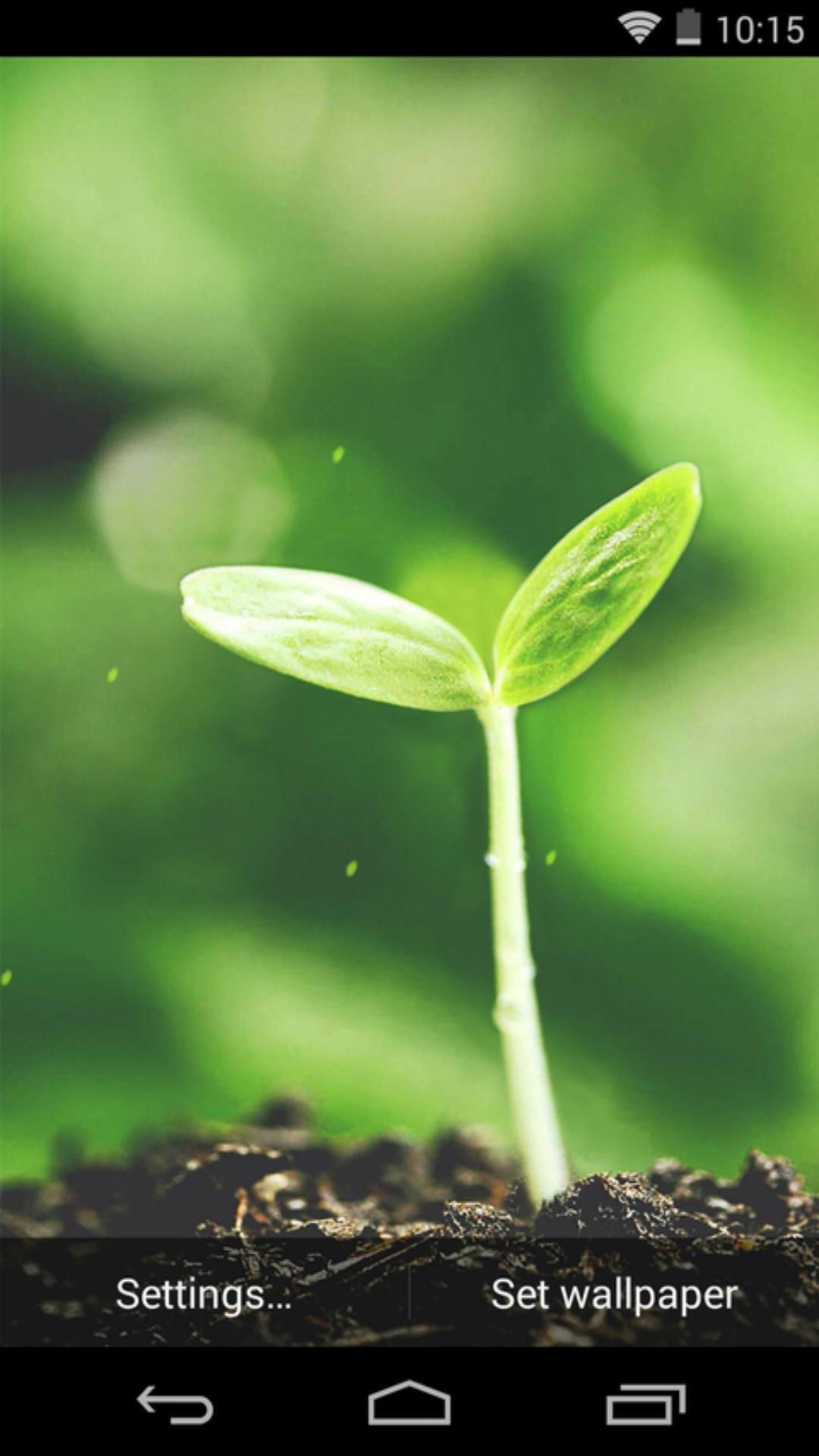 新生芽-梦象动态壁纸 v1.2.3