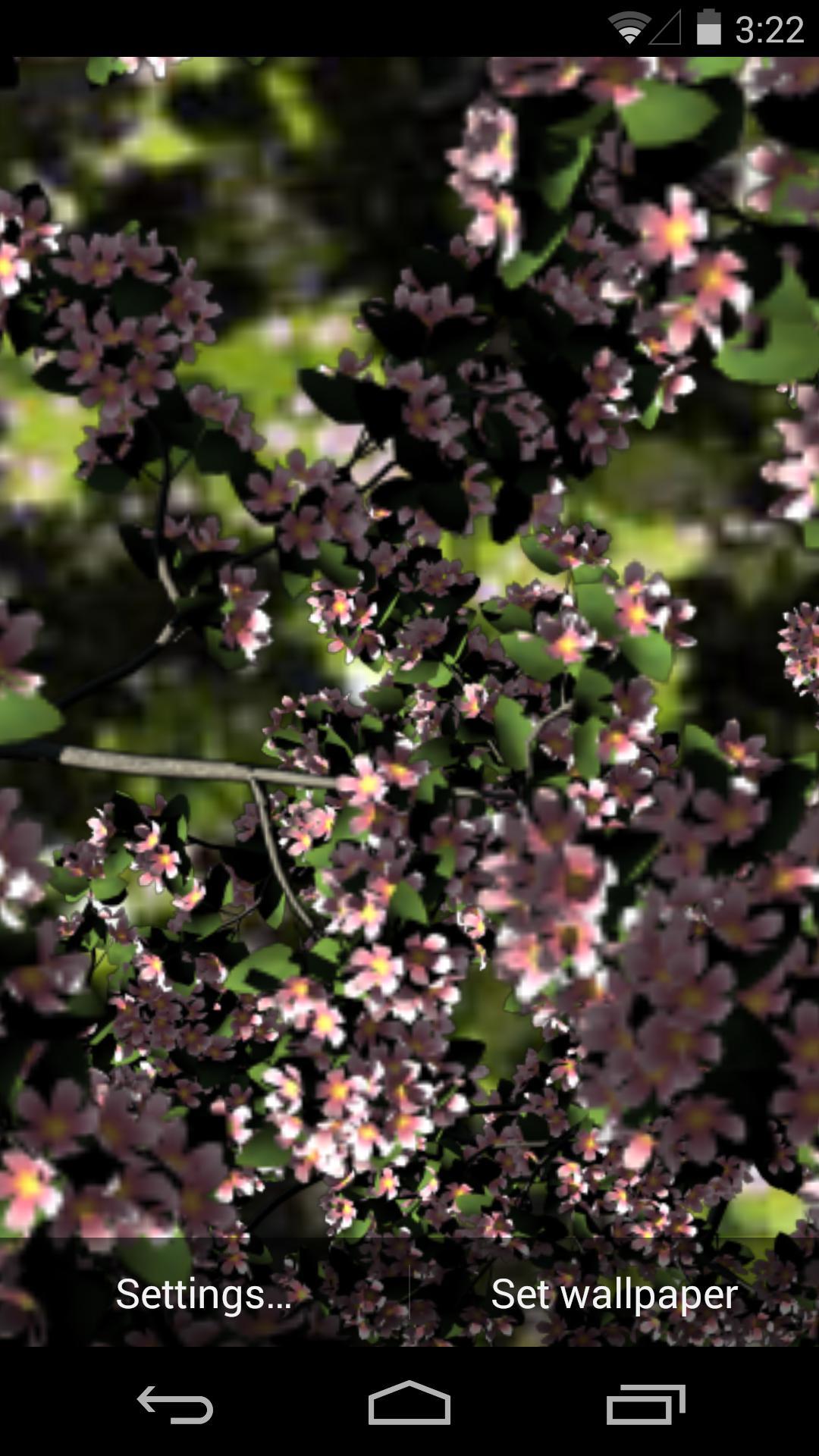 3D落花小径-梦象动态壁纸 v1.2.3