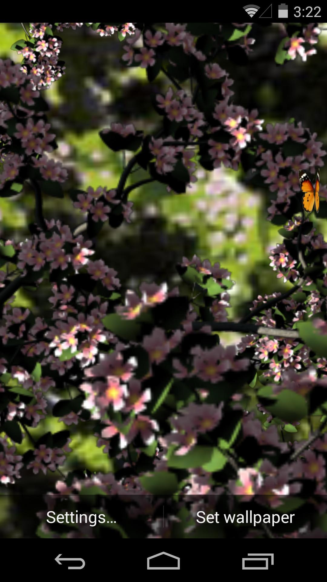 3D落花小径-梦象动态壁纸 v1.2.3