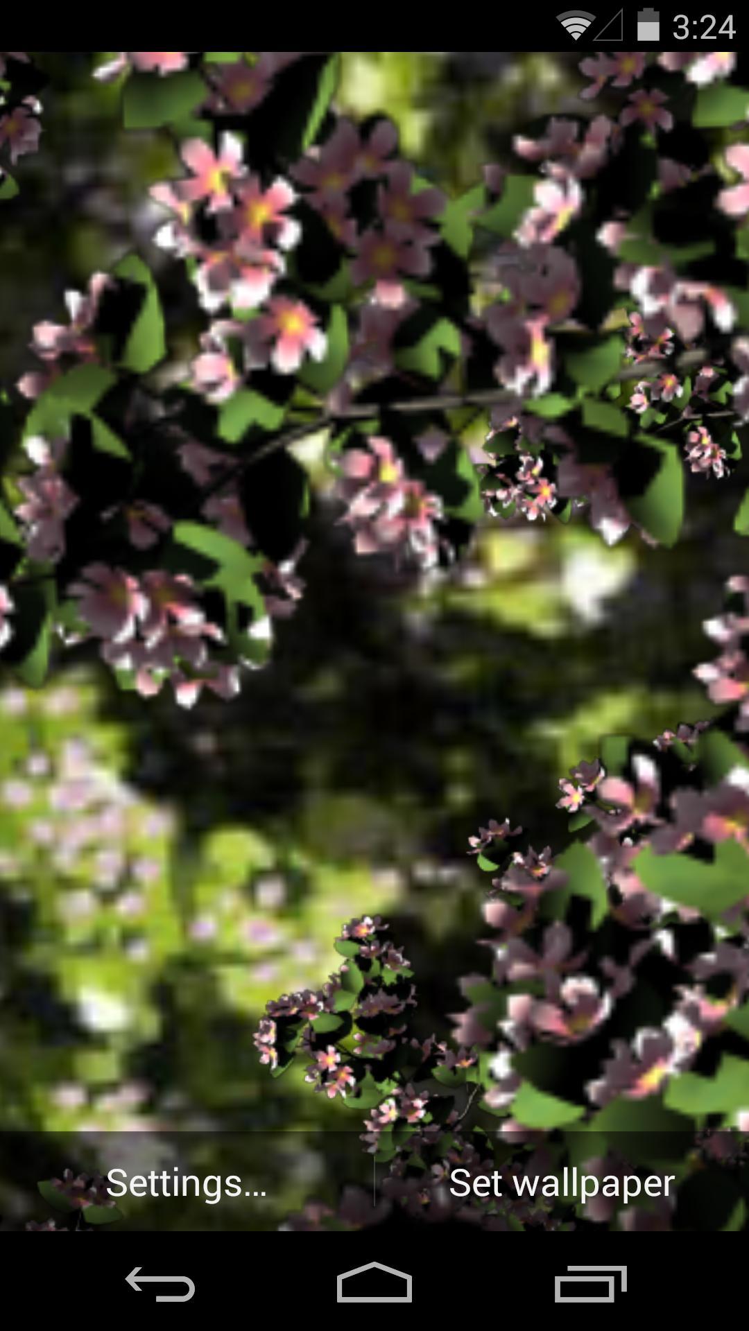 3D落花小径-梦象动态壁纸 v1.2.3