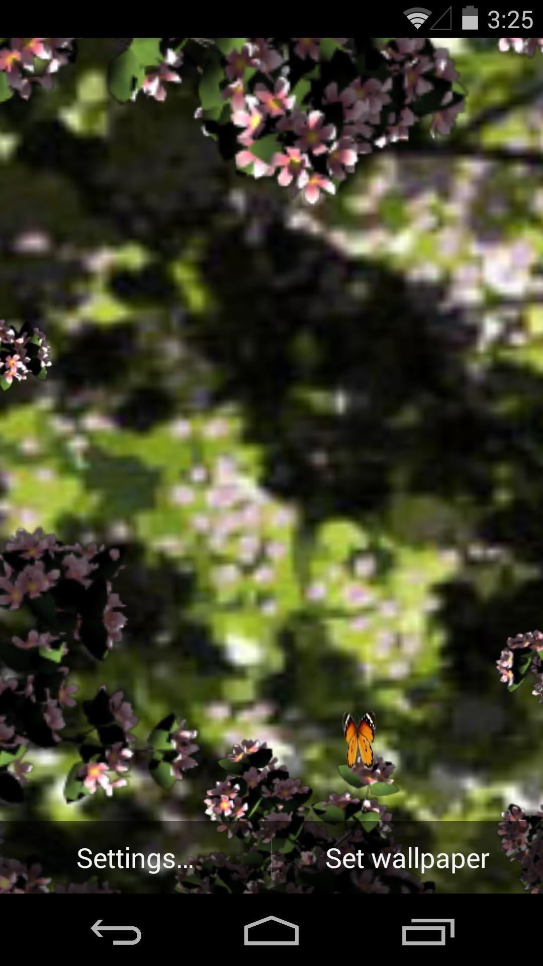 3D落花小径-梦象动态壁纸 v1.2.3