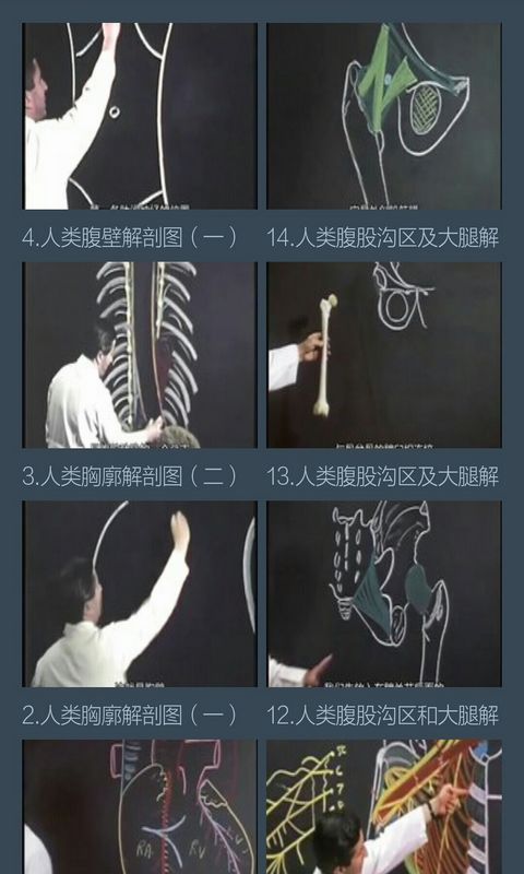 人体解剖学 v1.0