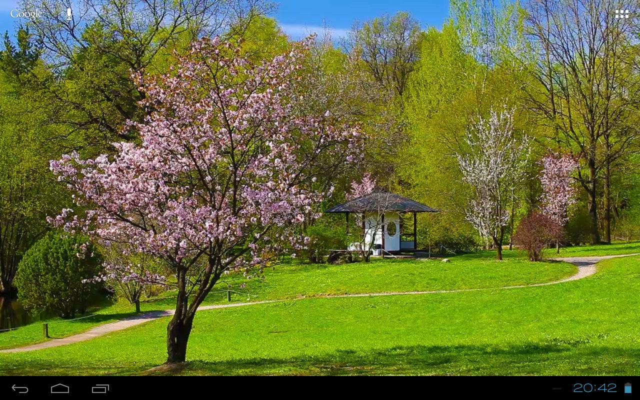 3D Sakura Zen Scenery Free v1.4.3