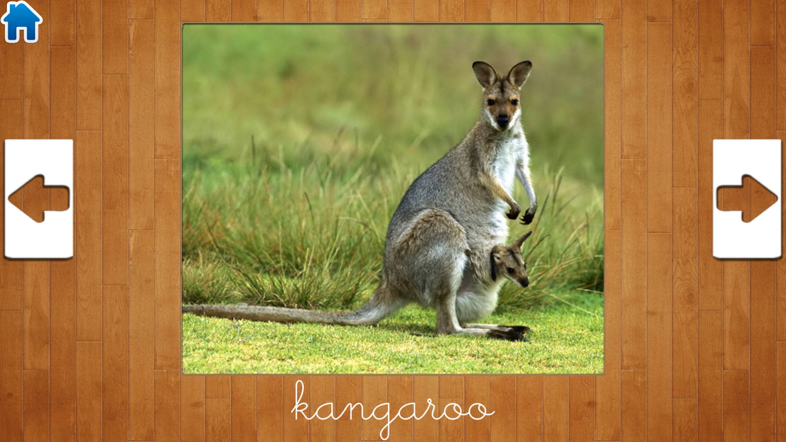 儿童教育游戏3 v1.4