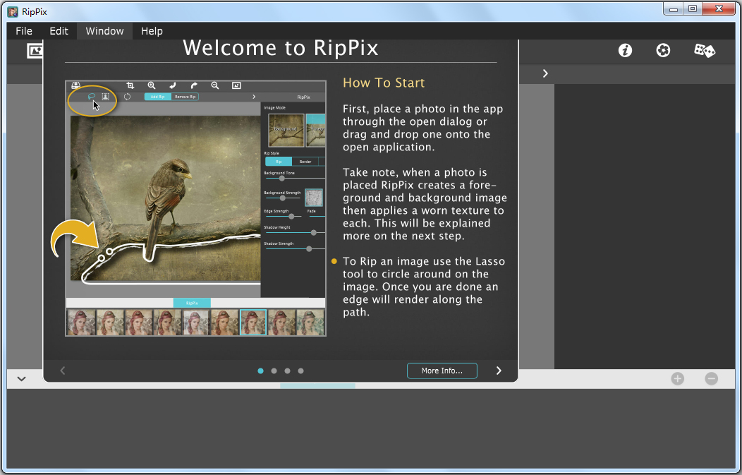 JixiPix RipPix(照片撕纸效果处理软件) V1.0.4 英文版