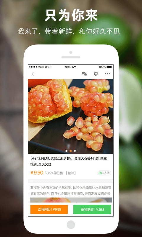 寻食者说 v1.0.1