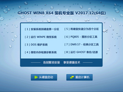 GHOST WIN8 X64 装机专业版 V2017.12(64位)