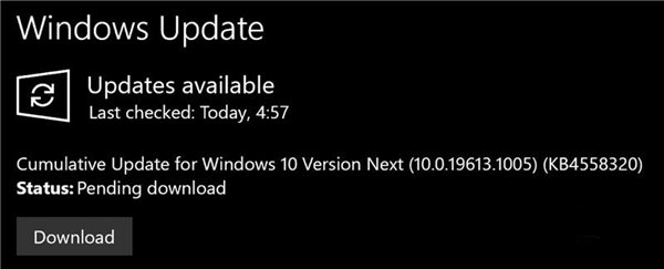 微软发布Win10快速预览版19613.1005累