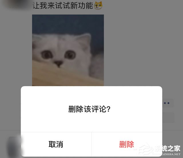 iOS版微信可删除朋友圈好友评论！