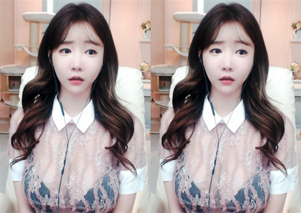 香草成视频人app污片在线观看下载