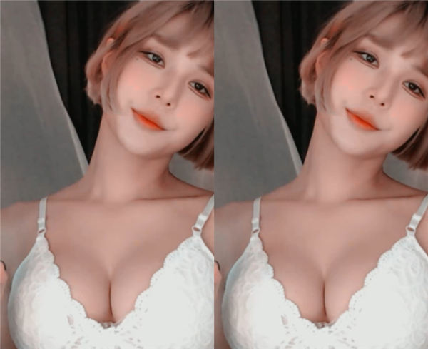 丝瓜成版人app破解版污下载